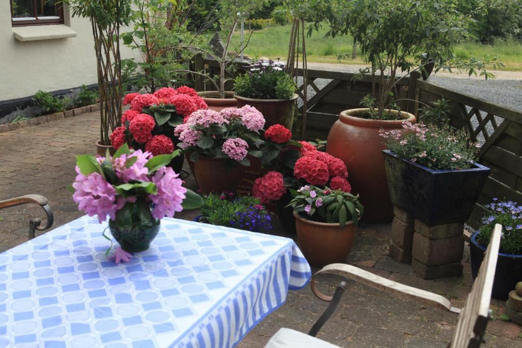 Bed & Breakfast Χόρσενς Εξωτερικό φωτογραφία